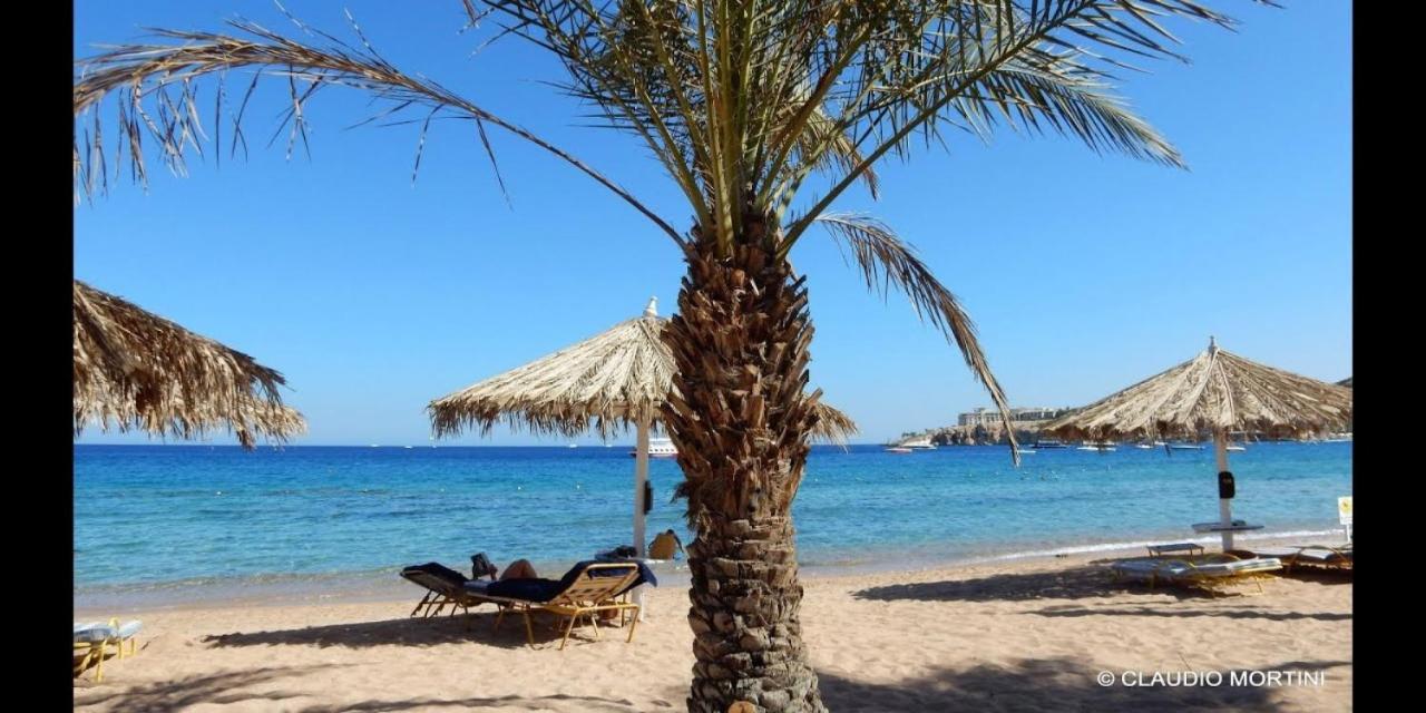Sharm Dreams Vacation Club - Aqua Park Hotel Eksteriør billede El Alamein beach